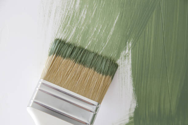 Best Real Estate Mold Inspection  in Flint, MI