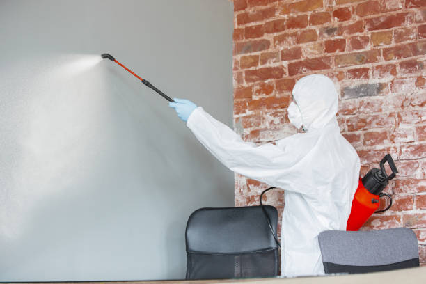Best Dehumidification Services  in Flint, MI