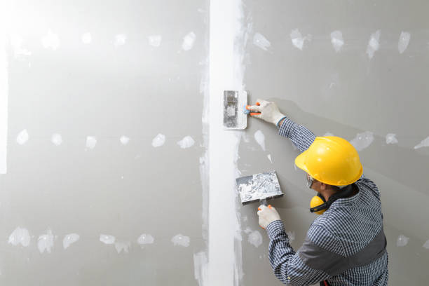 Mold Remediation for Vacation Homes in Flint, MI