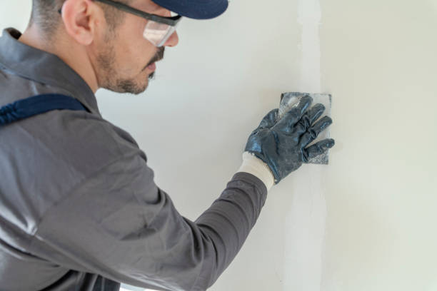Best Asbestos and Lead Testing During Mold Inspection  in Flint, MI