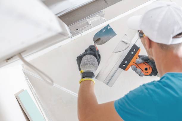 Best Environmental Consulting for Mold Prevention  in Flint, MI